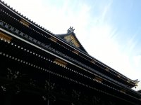 20121026_104944.jpg